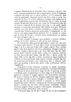 giornale/UFI0037508/1917/unico/00000022