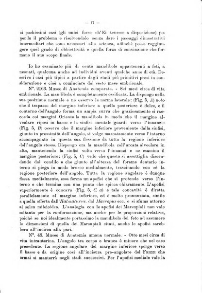 Giornale per la morfologia dell'uomo e dei primati