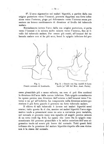 Giornale per la morfologia dell'uomo e dei primati