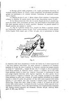 giornale/UFI0037508/1917/unico/00000127