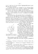 giornale/UFI0037508/1917/unico/00000166