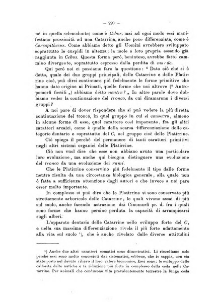 Giornale per la morfologia dell'uomo e dei primati