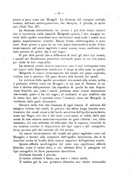 Giornale per la morfologia dell'uomo e dei primati