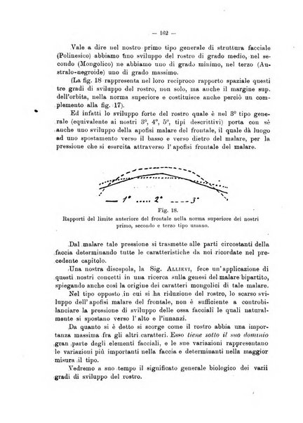 Giornale per la morfologia dell'uomo e dei primati