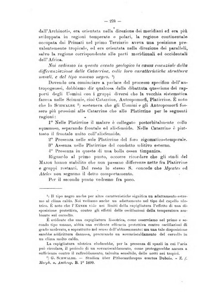 Giornale per la morfologia dell'uomo e dei primati