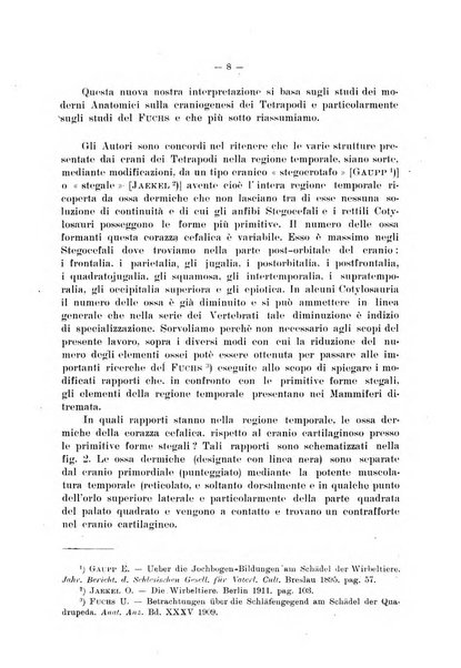 Giornale per la morfologia dell'uomo e dei primati