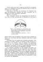 giornale/UFI0037508/1919-1920/unico/00000039
