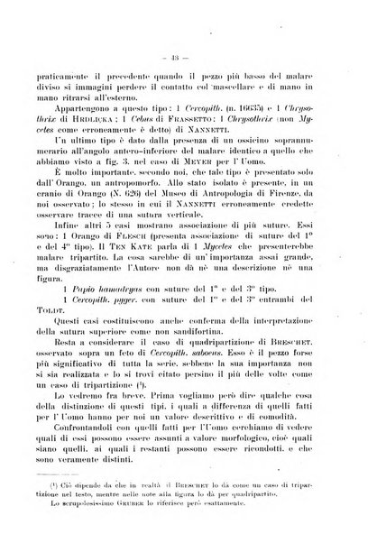 Giornale per la morfologia dell'uomo e dei primati