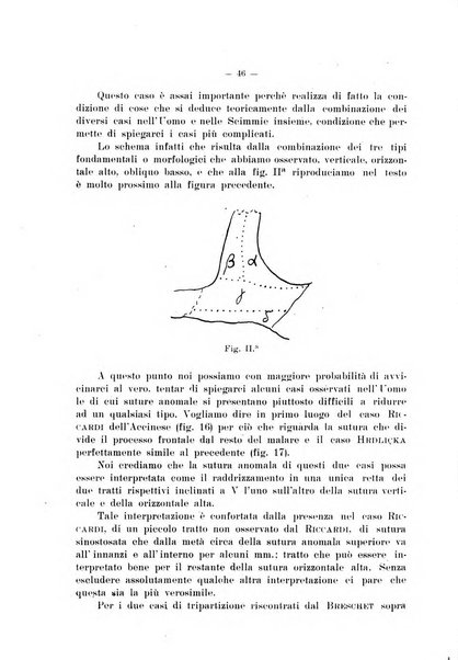 Giornale per la morfologia dell'uomo e dei primati