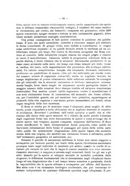 Giornale per la morfologia dell'uomo e dei primati