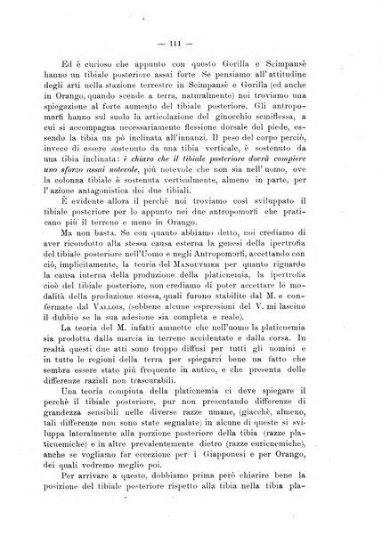 Giornale per la morfologia dell'uomo e dei primati