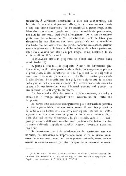 Giornale per la morfologia dell'uomo e dei primati