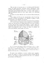 giornale/UFI0037508/1919-1920/unico/00000126