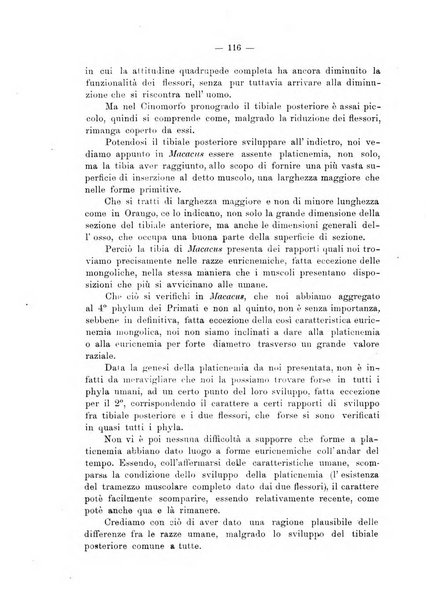 Giornale per la morfologia dell'uomo e dei primati