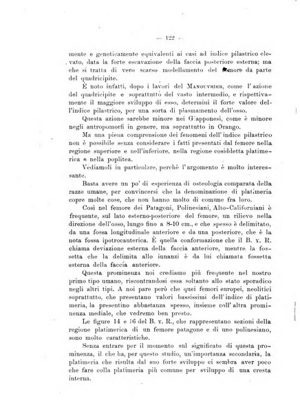 Giornale per la morfologia dell'uomo e dei primati