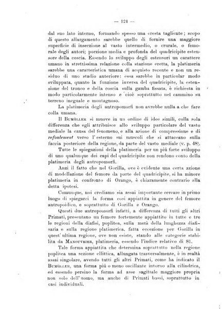 Giornale per la morfologia dell'uomo e dei primati