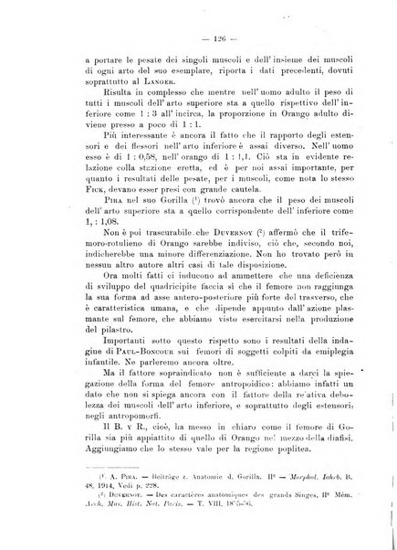 Giornale per la morfologia dell'uomo e dei primati