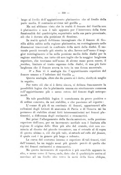 Giornale per la morfologia dell'uomo e dei primati