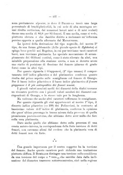 Giornale per la morfologia dell'uomo e dei primati