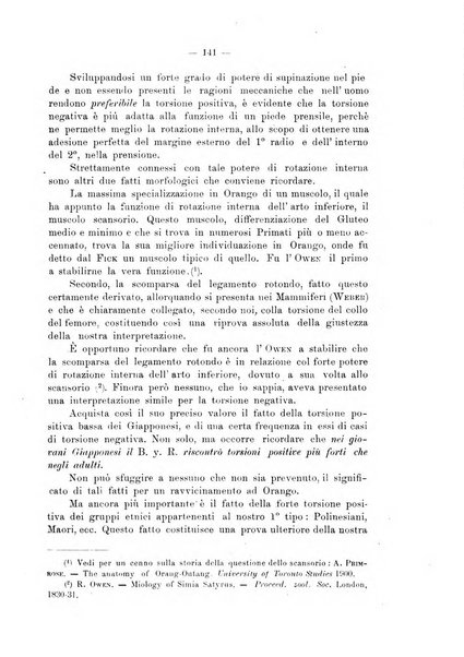 Giornale per la morfologia dell'uomo e dei primati