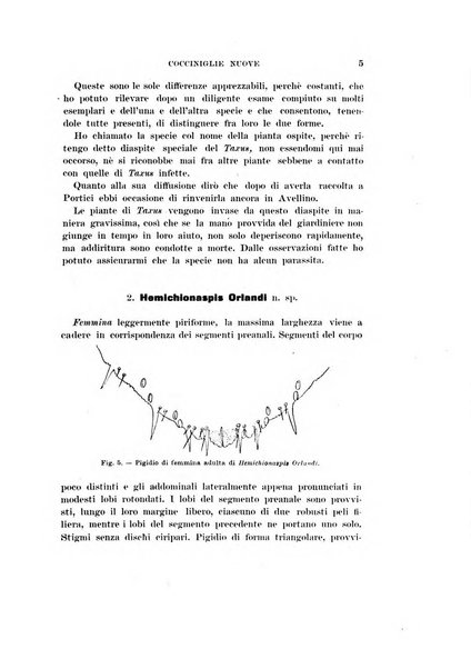 Redia giornale di entomologia pubblicato dalla R. Stazione di entomologia agraria