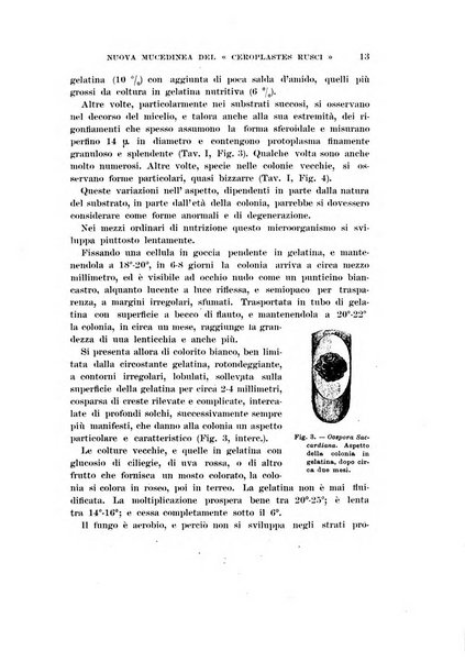 Redia giornale di entomologia pubblicato dalla R. Stazione di entomologia agraria