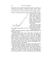 giornale/UFI0040156/1905/unico/00000030