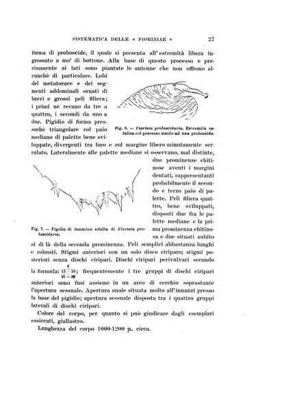 Redia giornale di entomologia pubblicato dalla R. Stazione di entomologia agraria