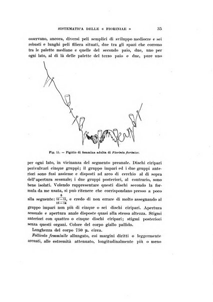 Redia giornale di entomologia pubblicato dalla R. Stazione di entomologia agraria