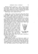 giornale/UFI0040156/1905/unico/00000063