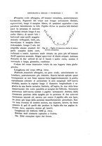 giornale/UFI0040156/1905/unico/00000065