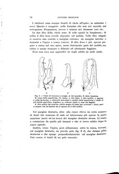 Redia giornale di entomologia pubblicato dalla R. Stazione di entomologia agraria