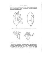 giornale/UFI0040156/1905/unico/00000122