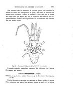 giornale/UFI0040156/1905/unico/00000201