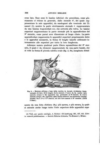 Redia giornale di entomologia pubblicato dalla R. Stazione di entomologia agraria