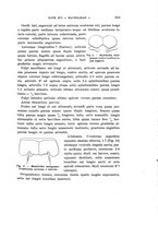 giornale/UFI0040156/1905/unico/00000347