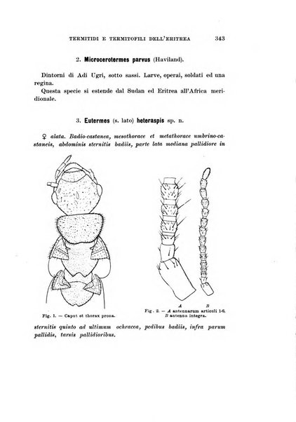 Redia giornale di entomologia pubblicato dalla R. Stazione di entomologia agraria