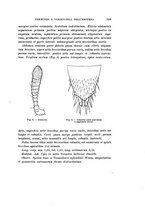 giornale/UFI0040156/1905/unico/00000363