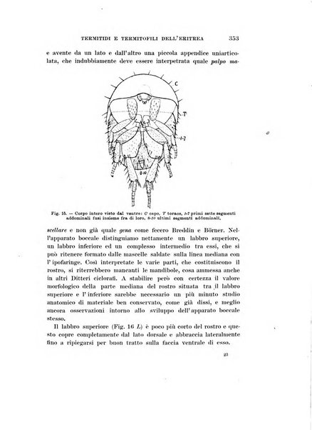 Redia giornale di entomologia pubblicato dalla R. Stazione di entomologia agraria