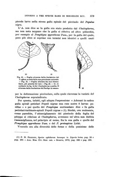 Redia giornale di entomologia pubblicato dalla R. Stazione di entomologia agraria