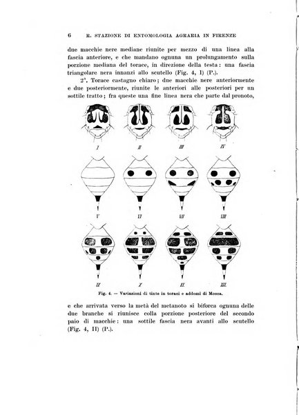 Redia giornale di entomologia pubblicato dalla R. Stazione di entomologia agraria