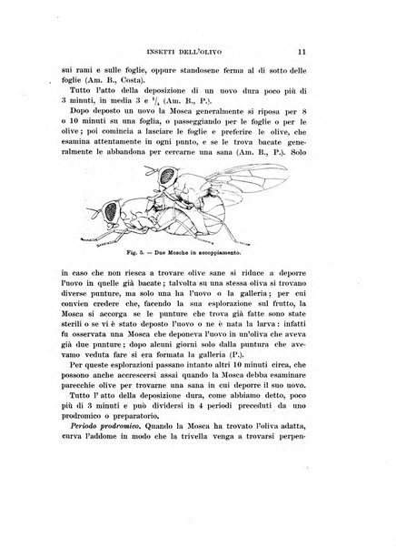 Redia giornale di entomologia pubblicato dalla R. Stazione di entomologia agraria