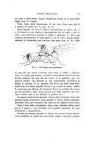 giornale/UFI0040156/1907/unico/00000021