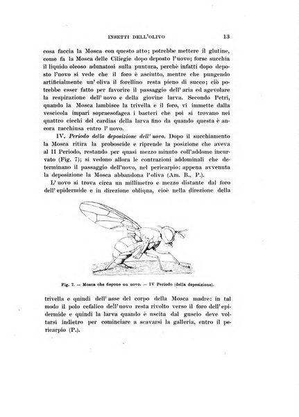 Redia giornale di entomologia pubblicato dalla R. Stazione di entomologia agraria