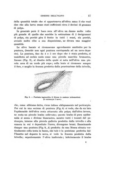 Redia giornale di entomologia pubblicato dalla R. Stazione di entomologia agraria