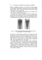 giornale/UFI0040156/1907/unico/00000028
