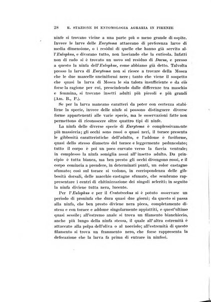 Redia giornale di entomologia pubblicato dalla R. Stazione di entomologia agraria