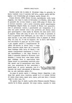 giornale/UFI0040156/1907/unico/00000039