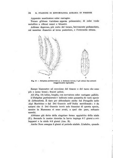 Redia giornale di entomologia pubblicato dalla R. Stazione di entomologia agraria