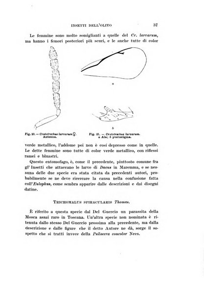 Redia giornale di entomologia pubblicato dalla R. Stazione di entomologia agraria